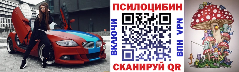 как найти мориарти состав Псилоцибиновые грибы Cubensis Россошь