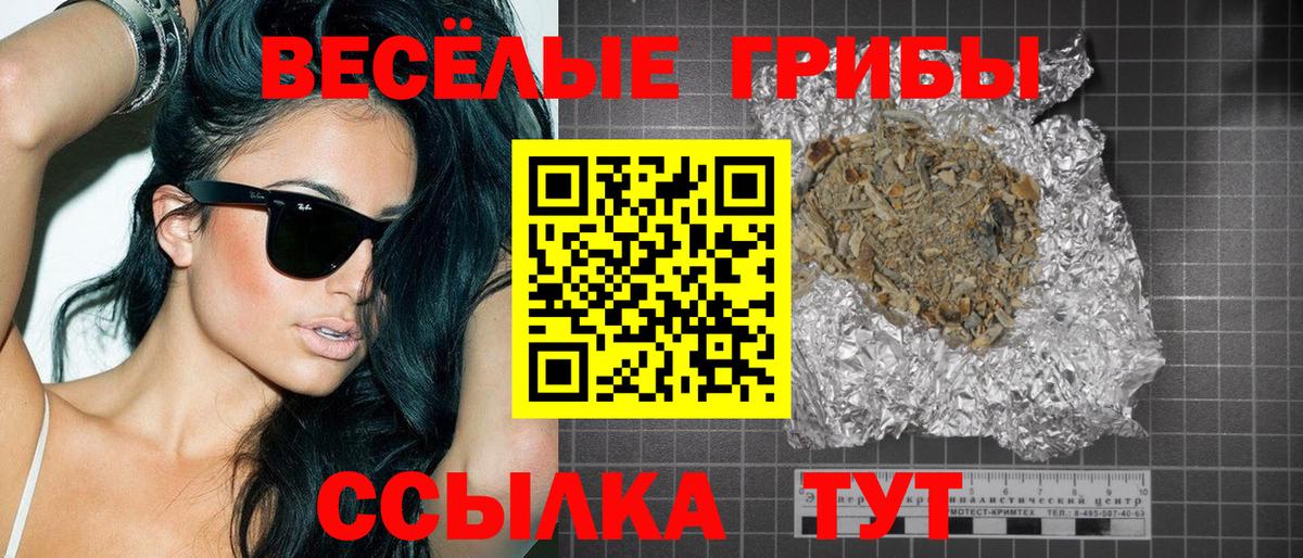 Россошь  Псилоцибиновые грибы ЛСД  Псилоцибиновые грибы мицелий  Вход с VPN 